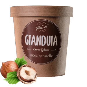 Crème Glacée Artisanale Gianduia : Gelato Art Marrakech
